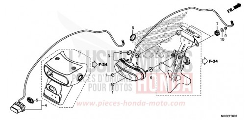 FEU ARRIERE/FEU D'IMMATRICULATION CMX500AP de 2023